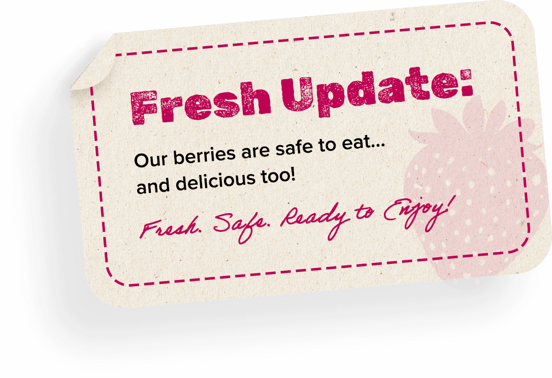 Fresh Update: Our berries are safe to eat and delicious too. Fresh. Safe. Ready to Enjoy!
