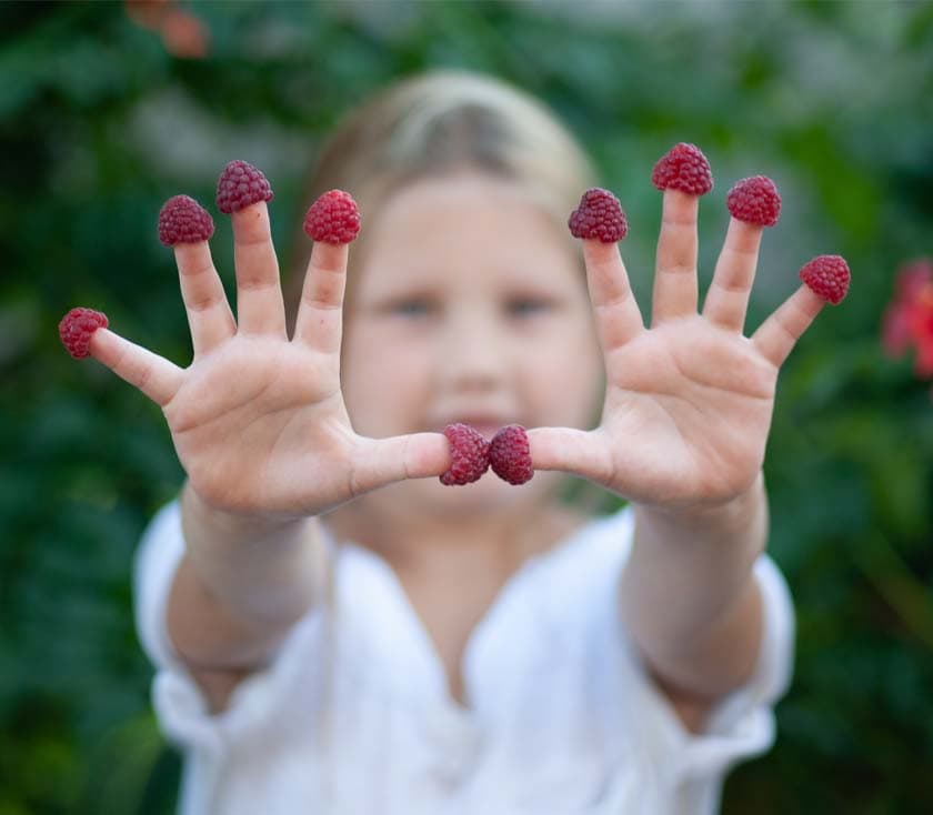 Berries on fingertips