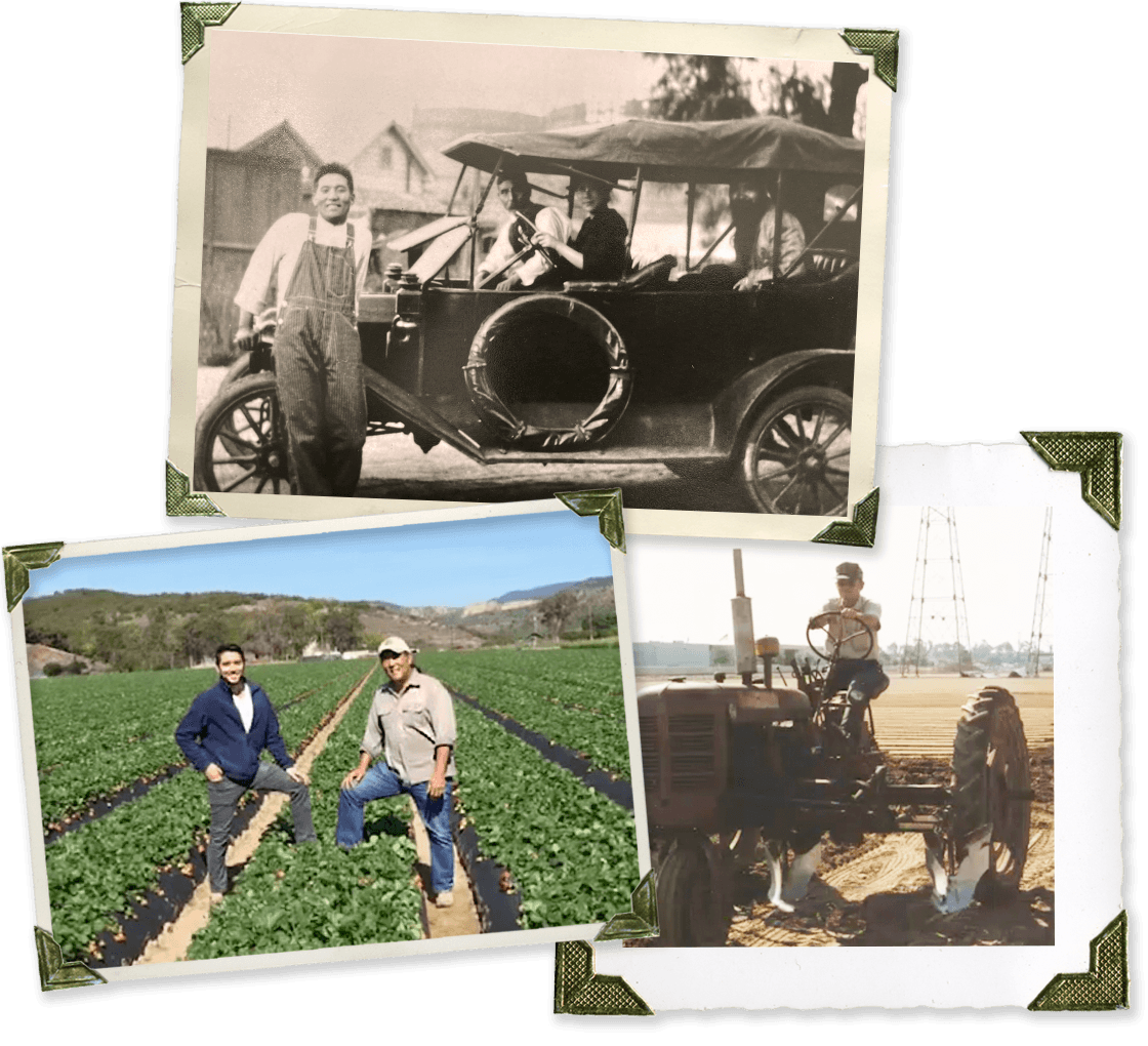 Generations of farmers