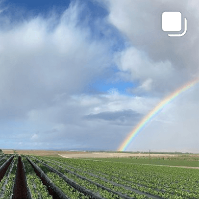 Berry field and rainbow